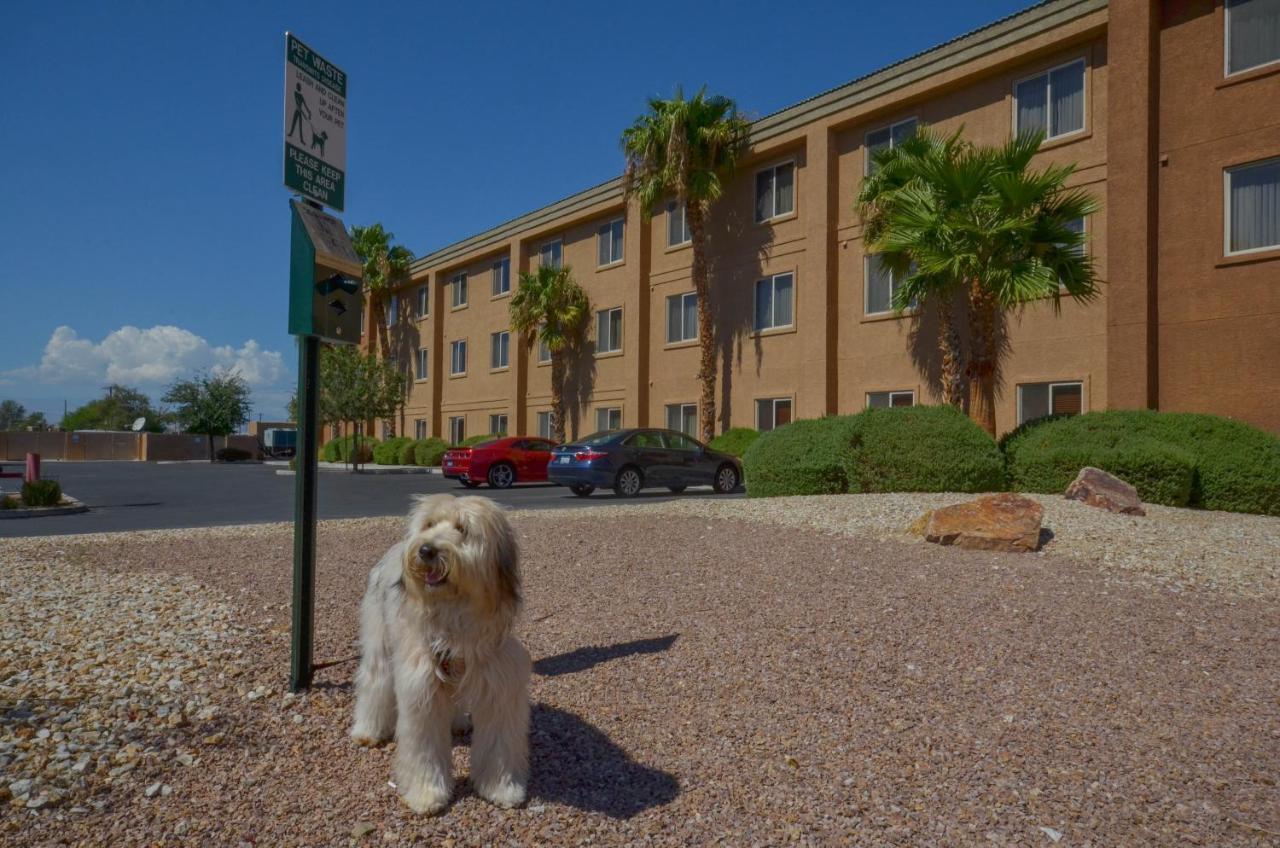 Holiday Inn Express Las Vegas-Nellis By Ihg Buitenkant foto