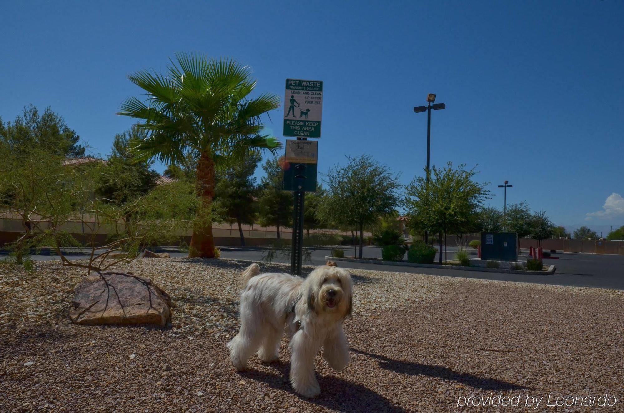 Holiday Inn Express Las Vegas-Nellis By Ihg Buitenkant foto
